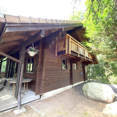Le Renard Chalet En Bois Ла-Бресс Экстерьер фото