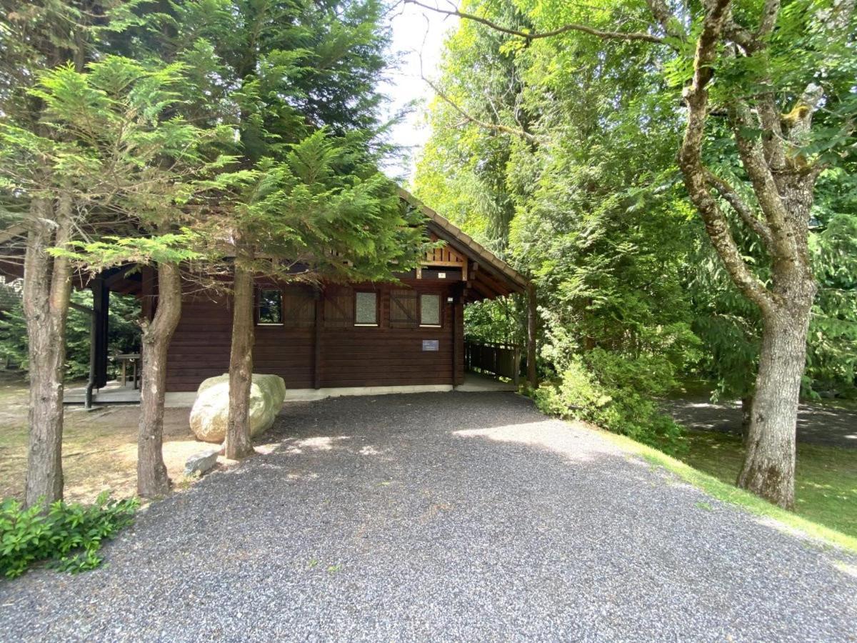 Le Renard Chalet En Bois Ла-Бресс Экстерьер фото